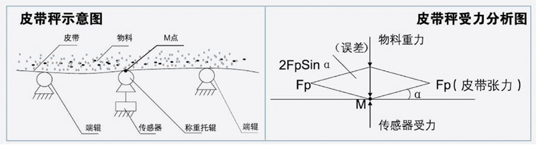 龙岩皮带秤